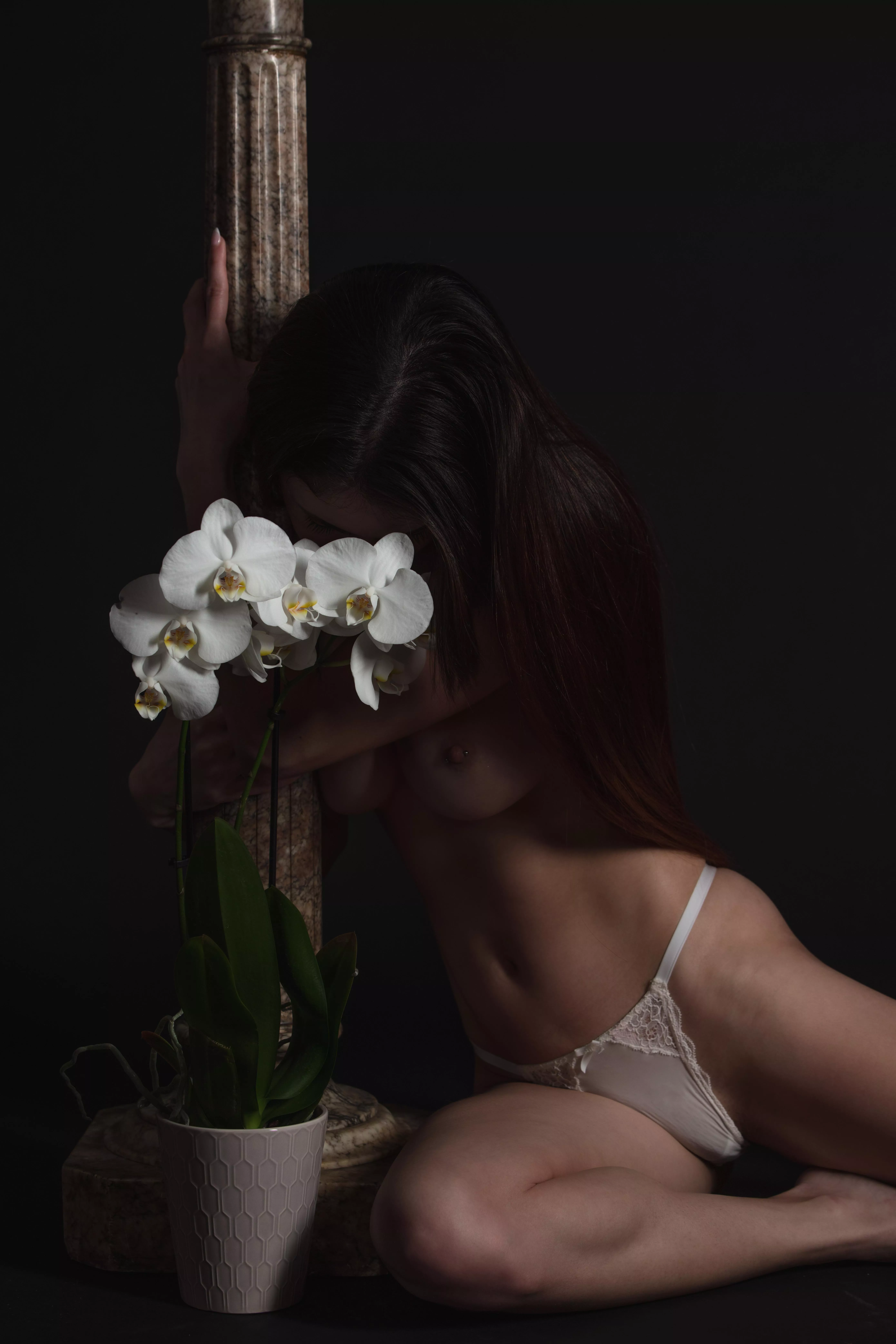 RosaRavenous with Orchid and Marble posted by ProjectAletheia