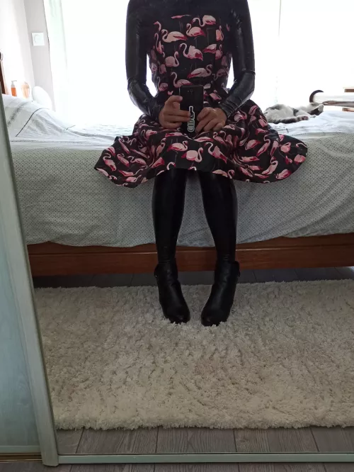 Shiny princess, with a bonus cat by ToBeChloe