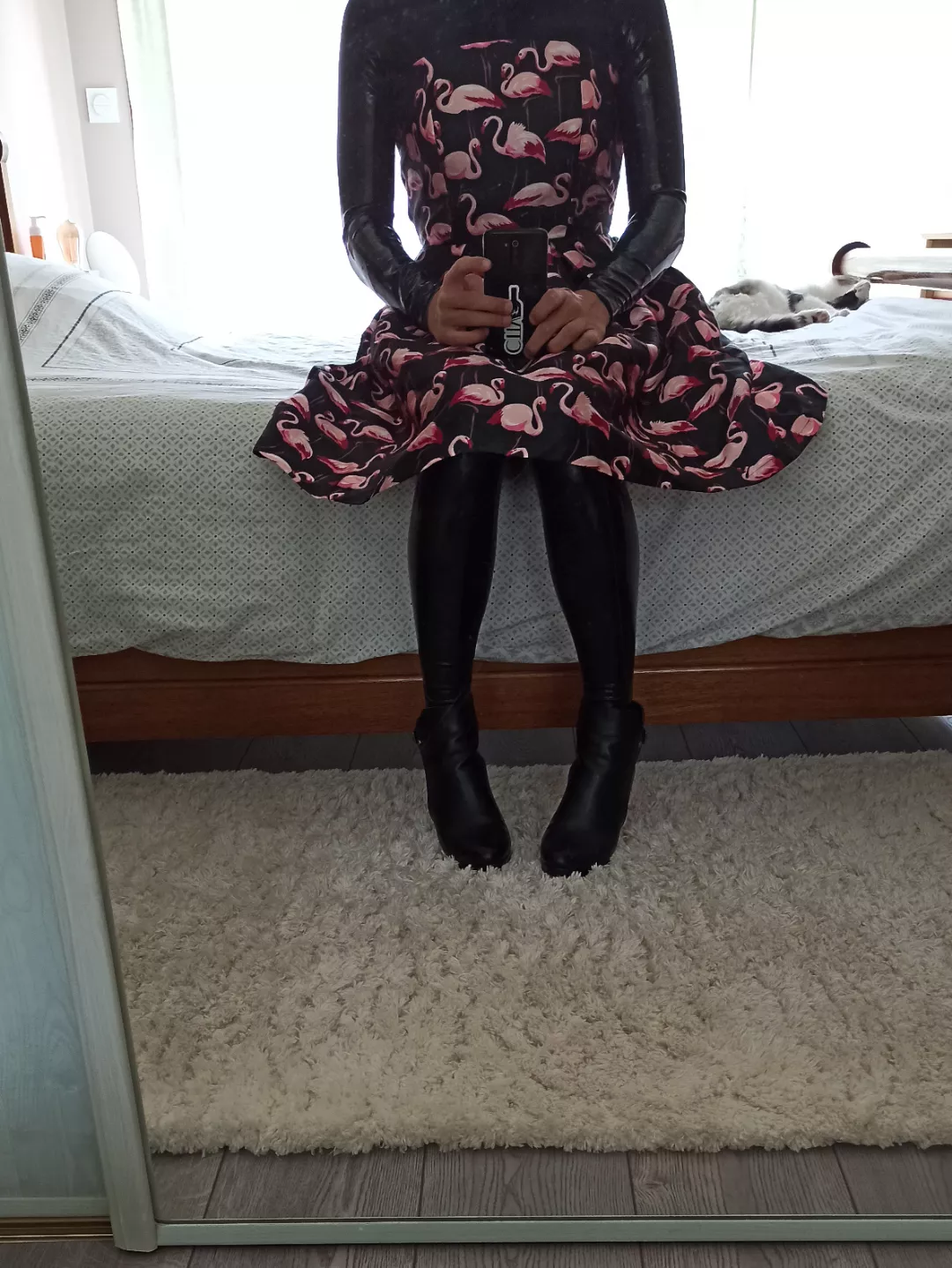 Shiny princess, with a bonus cat posted by ToBeChloe