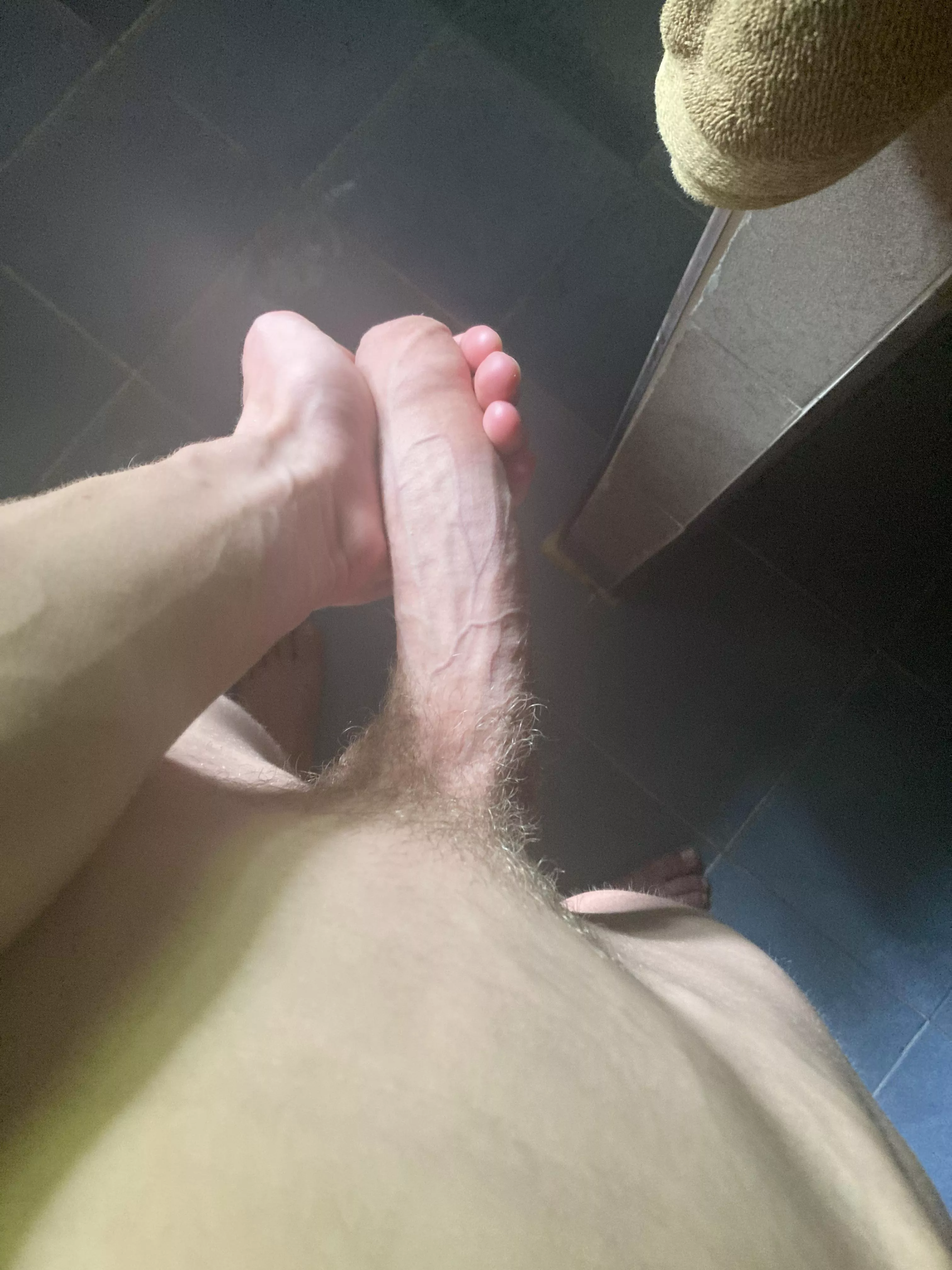 Sun is shining, cock is growing posted by _DutchBWC_