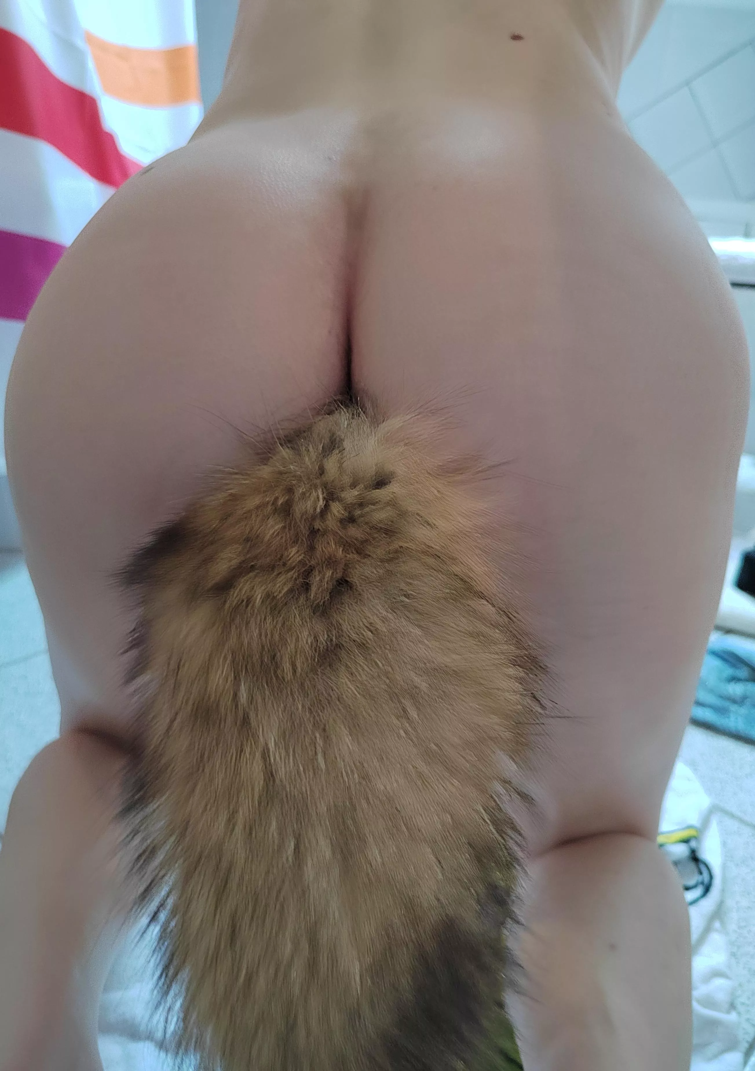 Wanna tug my tail?  posted by Okkicks59