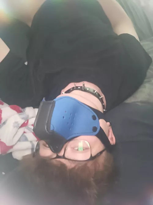 want me to do anythin for u? by pupStormy