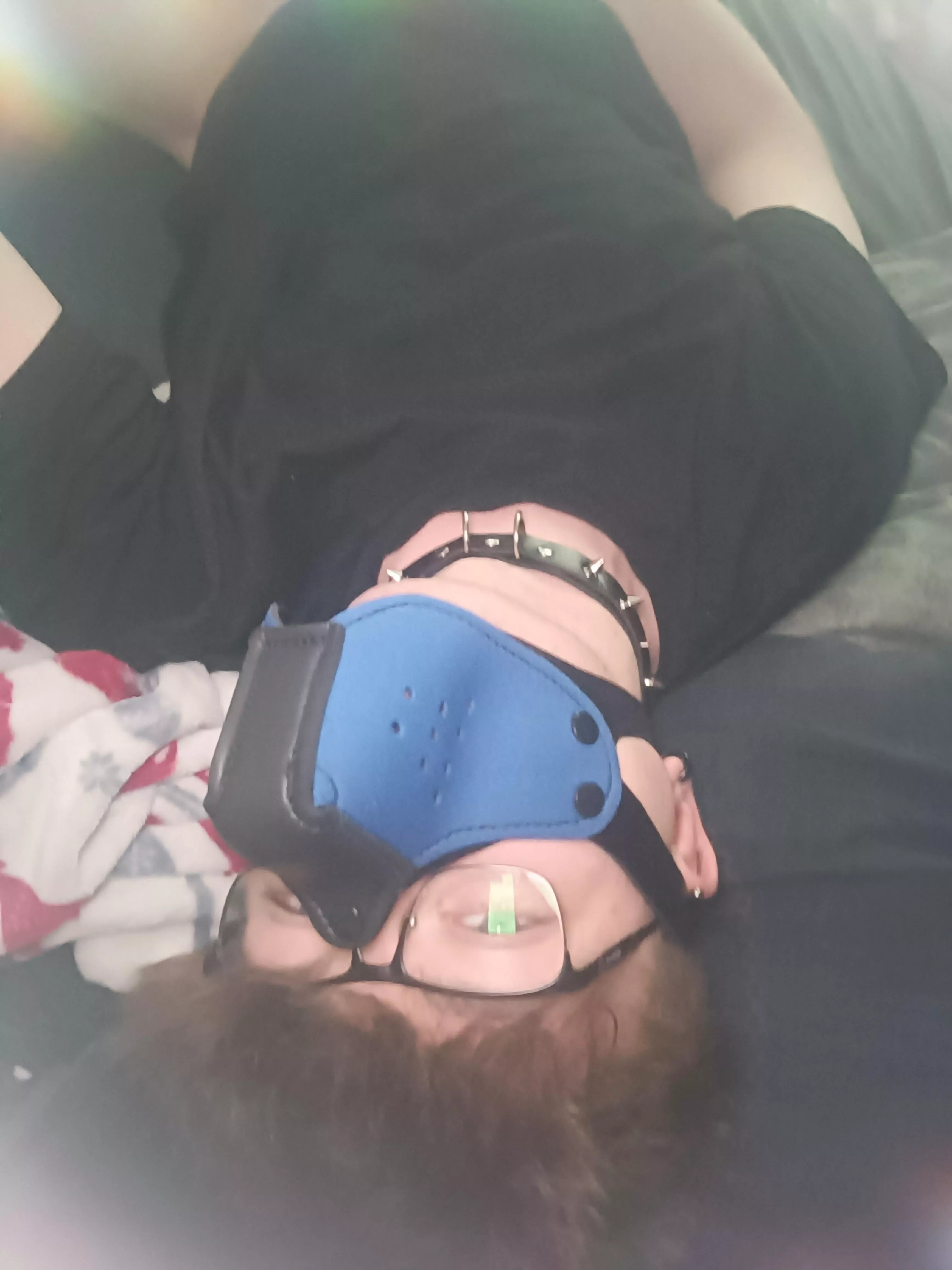 want me to do anythin for u? posted by pupStormy