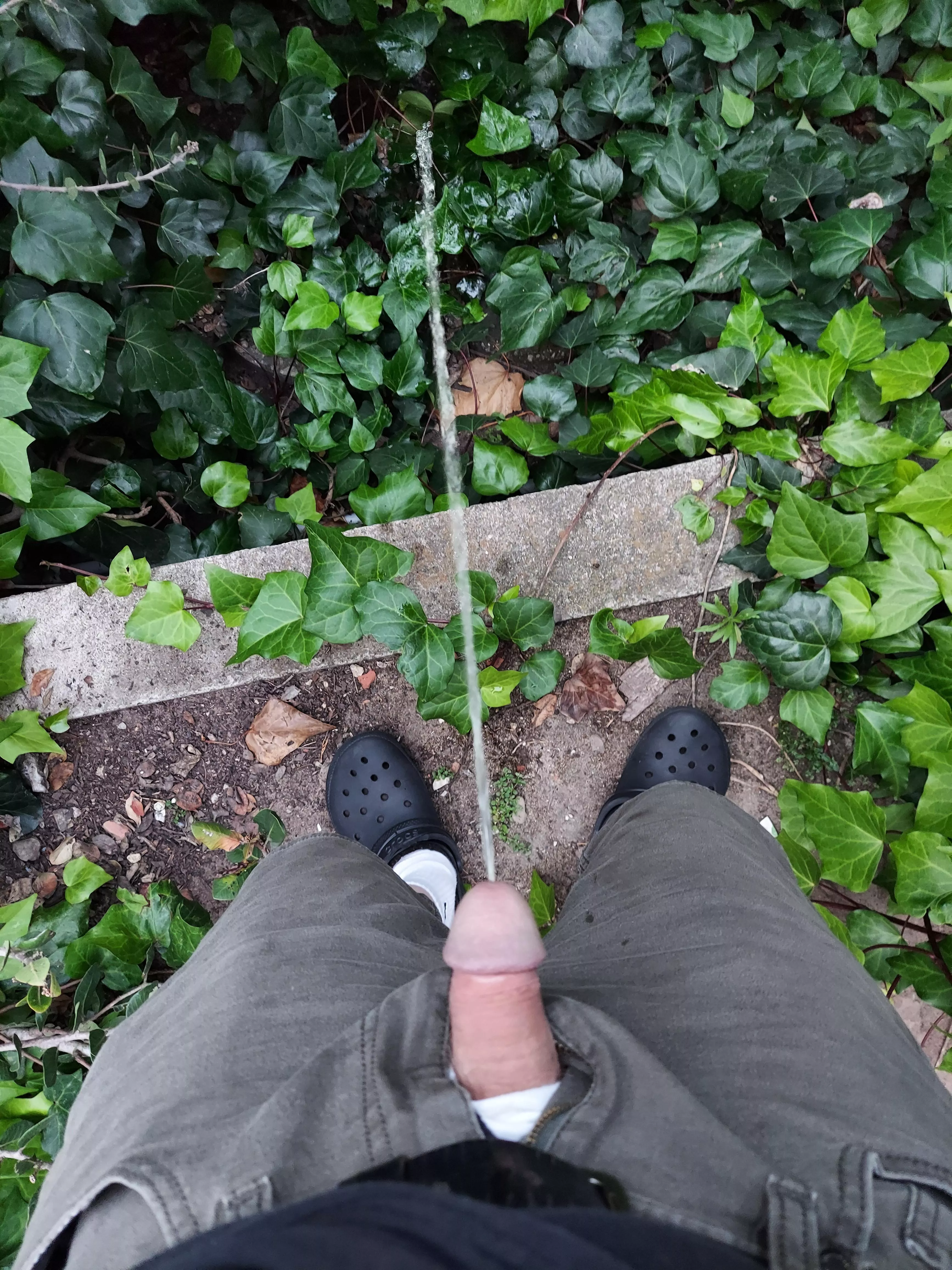 Watering the hillside at home posted by Homo_gone_wild