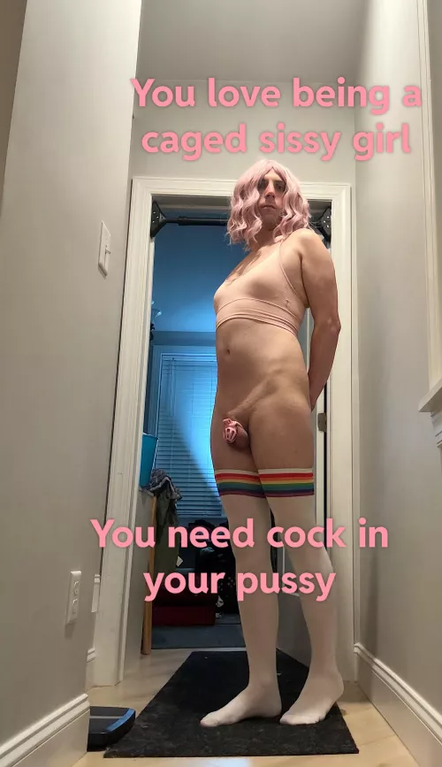You love being a caged sissy girl by mypattysimms