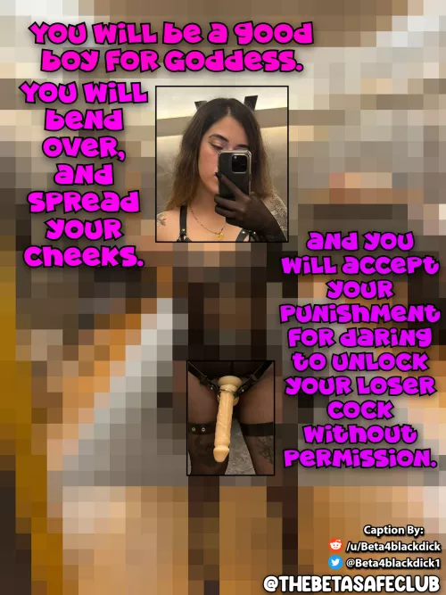 You will be a good boy for Goddess. by beta4blackdick