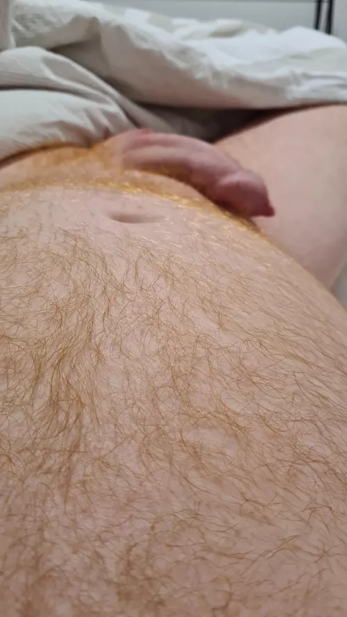 43 cuddly ginger. Who wants some? by Average6Ginger