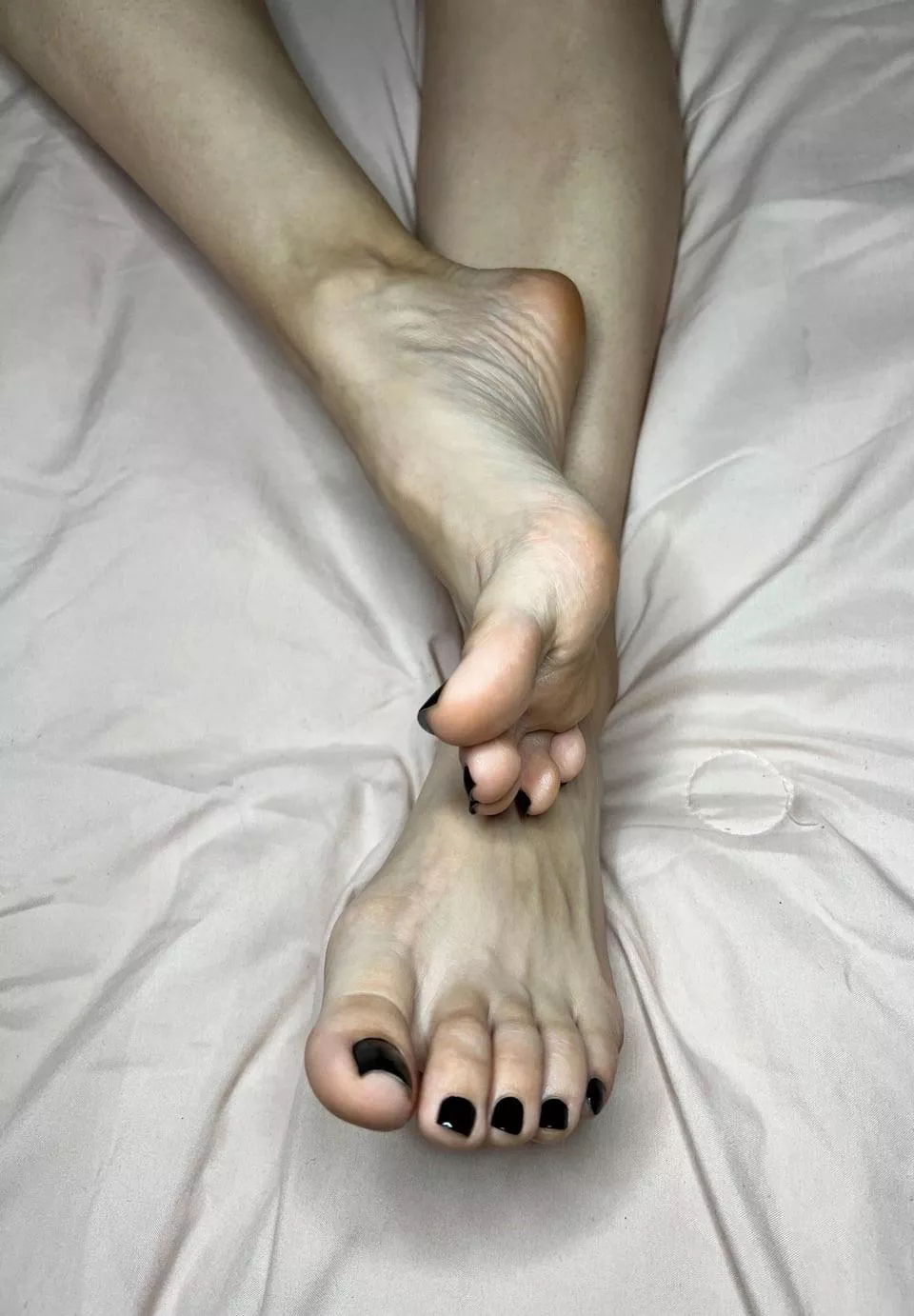 Would you like these feet in your face?? 🥰 posted by daisydorsey