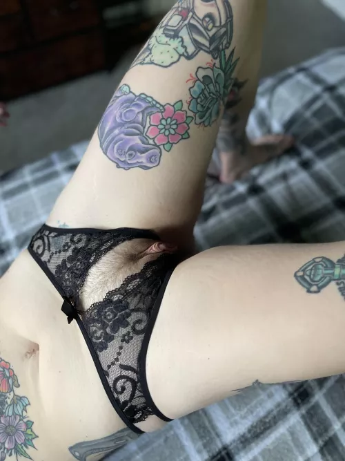 Your plate is ready  by nakieplantlady