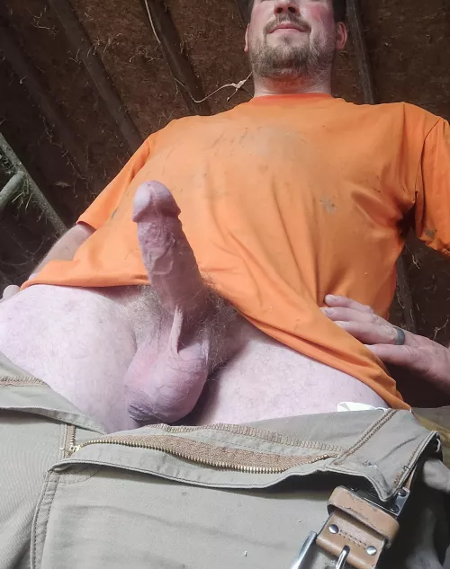 Help strip this Tradesman down after a hot day! by Clydeguy69