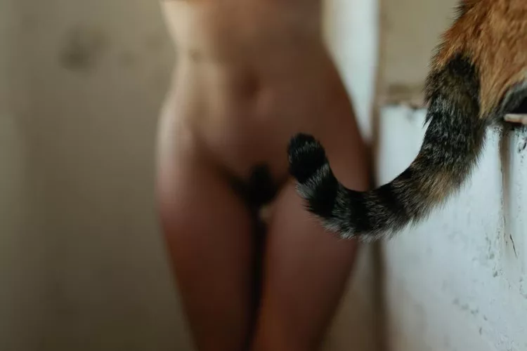 My cat by Vasile_Barbu