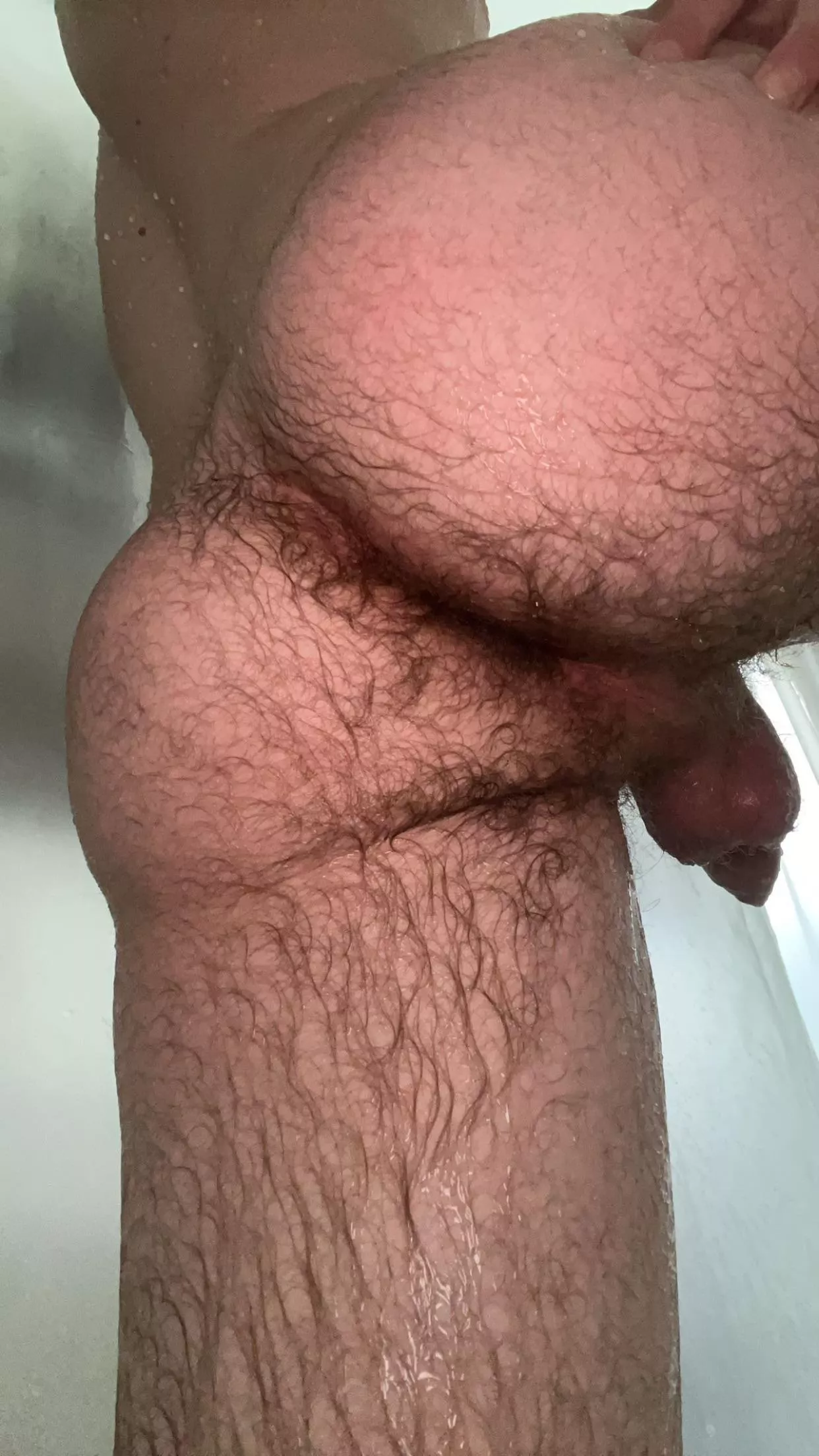 My hairy ass in the shower  posted by D_S35