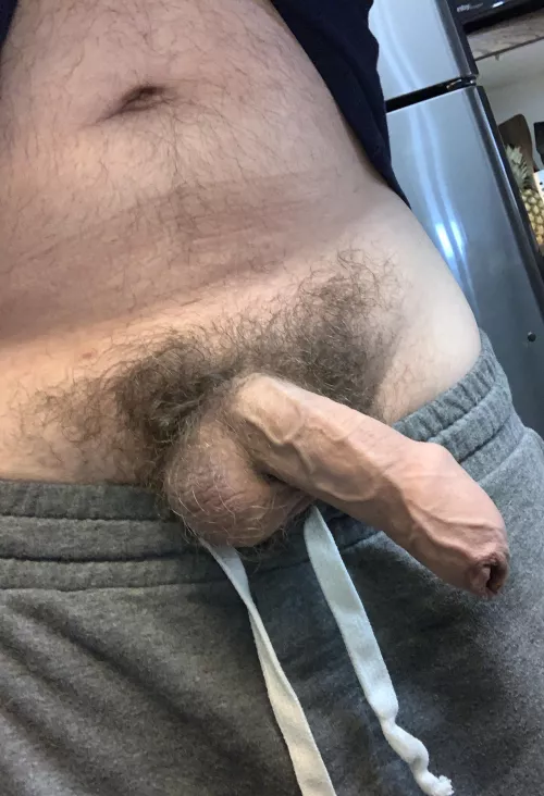 Need a submissive bear to take care of my hairy uncut dick by domcubster88