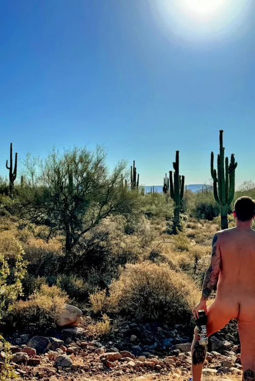 Couldn’t fathom working in the office yesterday. This was much better place to work.  by PhxNudeDude51