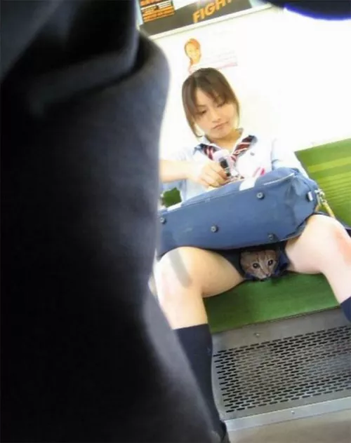 Cute pussy by j3ffr33d0m