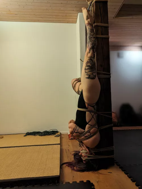 fixed and bound by semenawa