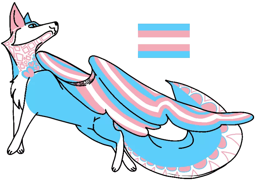 Flying fox Transgender flag posted by TriLunaRose