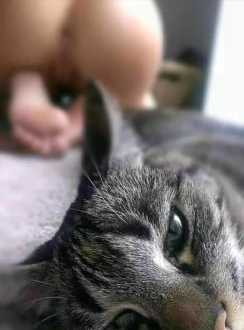 I love kitties by FetusDeletus83