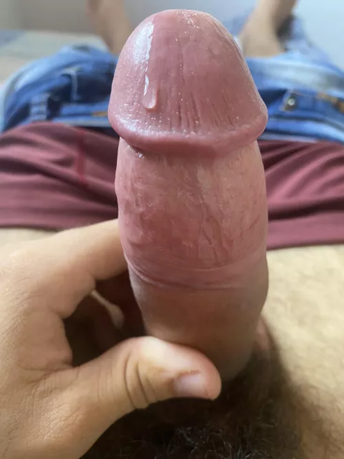 new here (21) by pxdiego