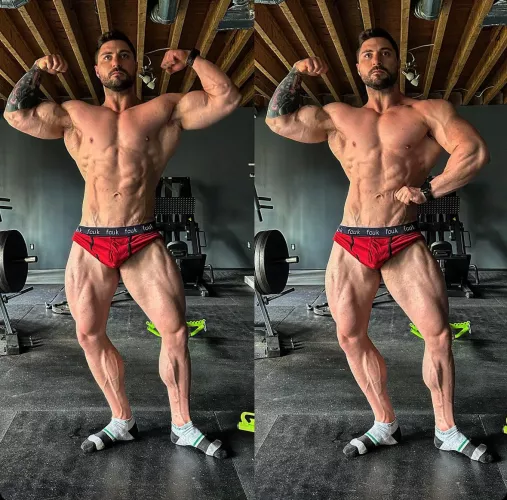 Putting on size while staying lean by Averagejoe_fit