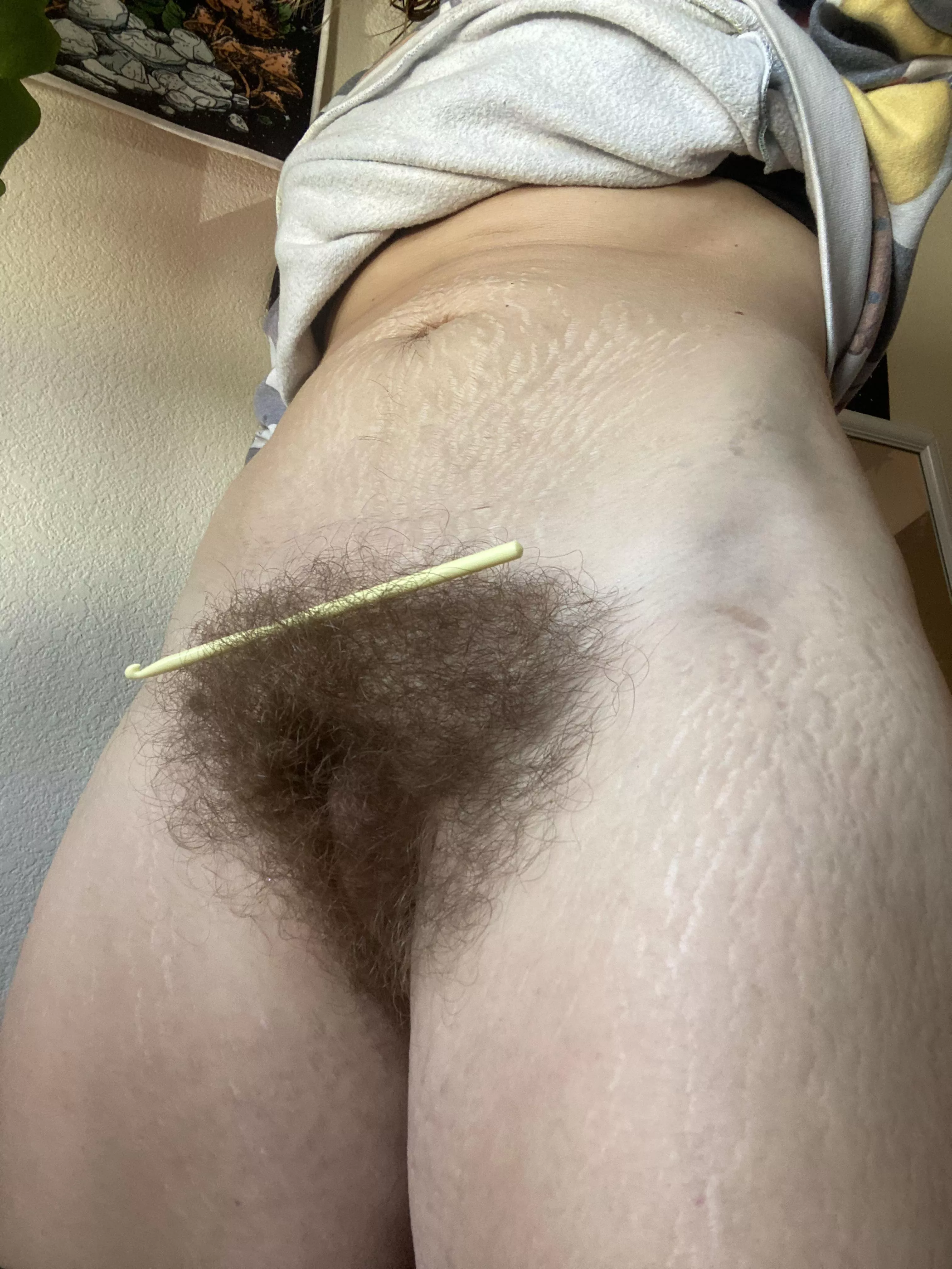 Today I discovered I could balance things on my bush because it is so big 😍 posted by Critical-Storm1675