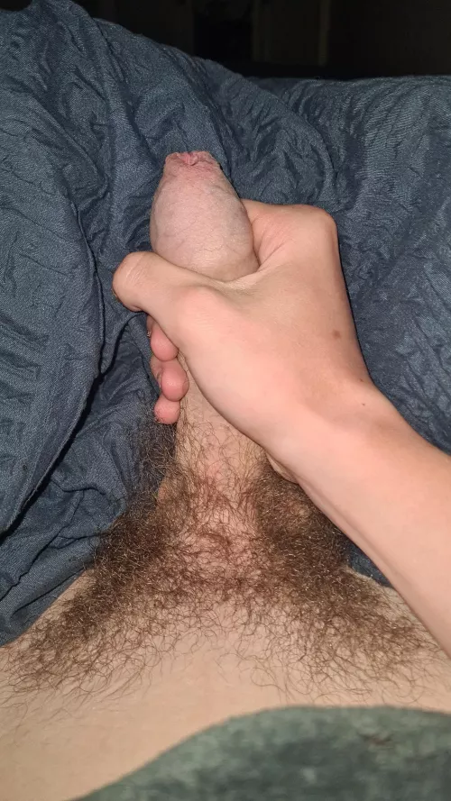 Who wants to be my bitch by Fun-Star-3092