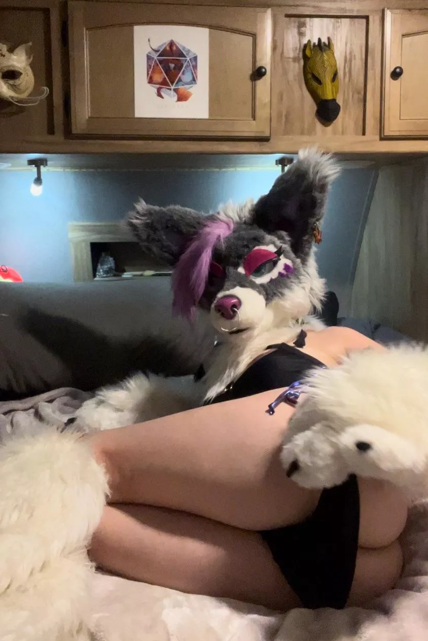 Won’t you join me in my den?  posted by Rayne_Rot