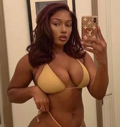 Megan Thee Stallion by Any-Celebration-6655