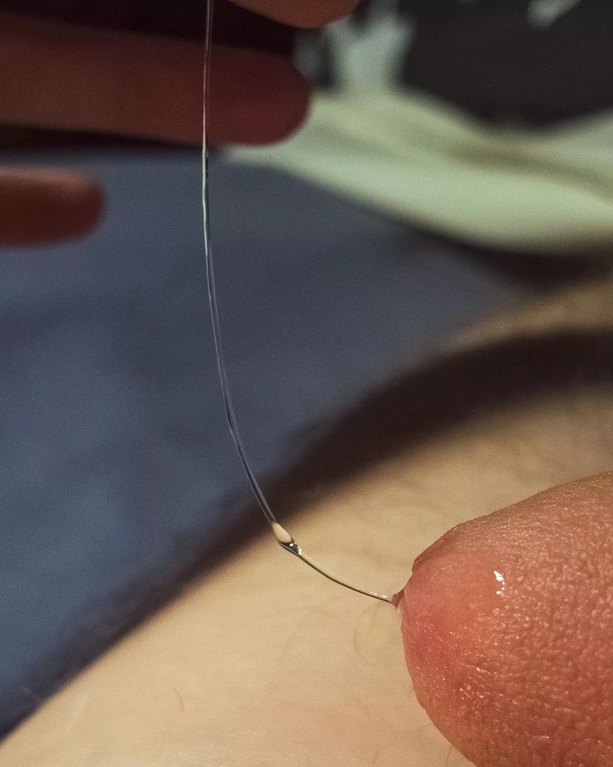 Stringing me along (47) posted by Checkandstripes