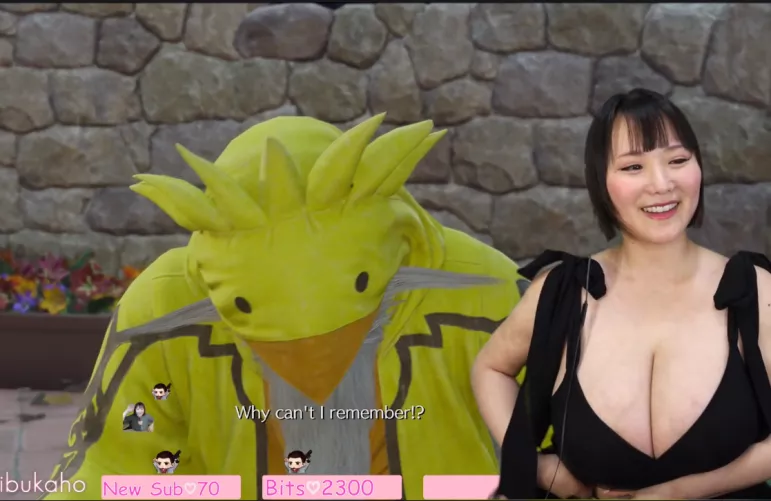The best tits on Twitch? by Illustrious_Sun6236
