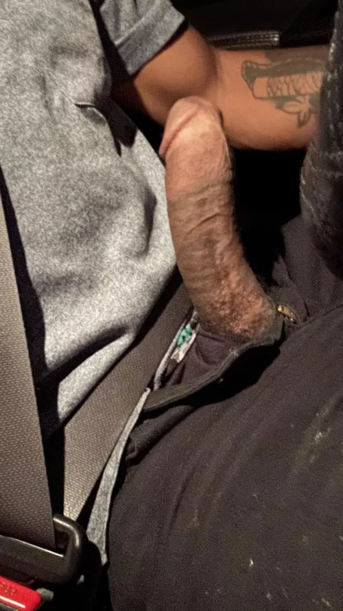 You see this driving late at night, what do you do? by Interesting-Trip2312