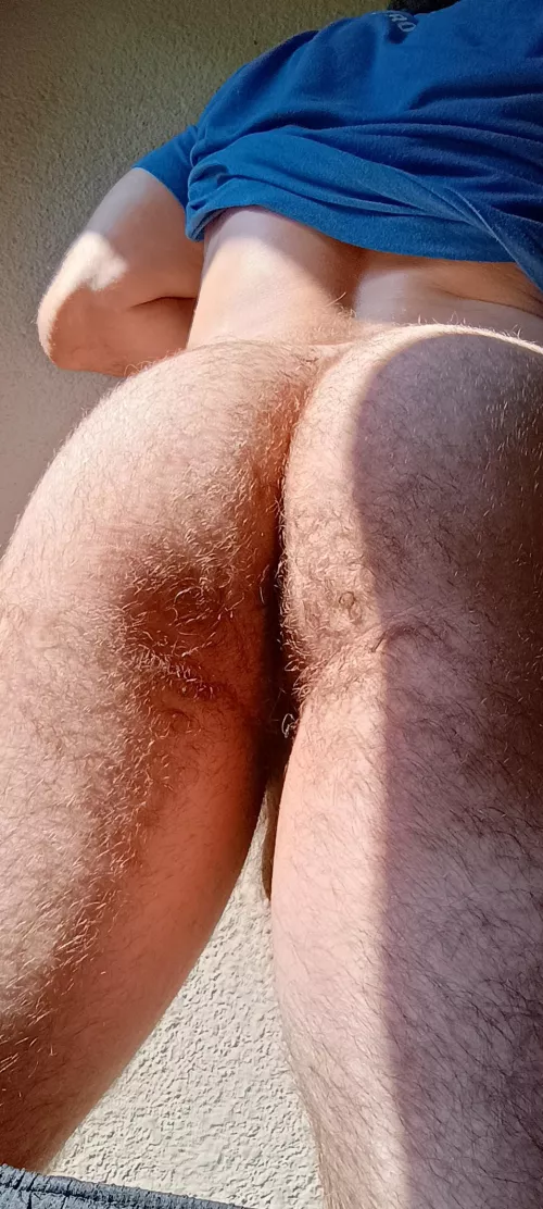 A hairy one  by Abigdicklife