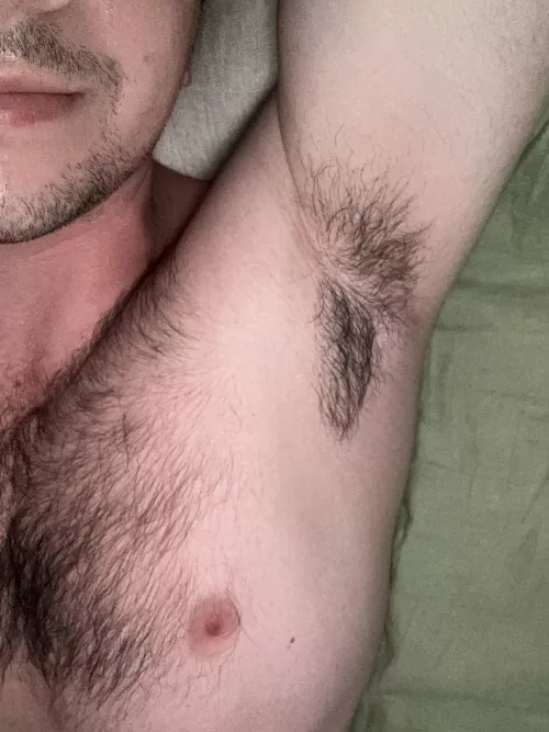 Good morning by ucgoss