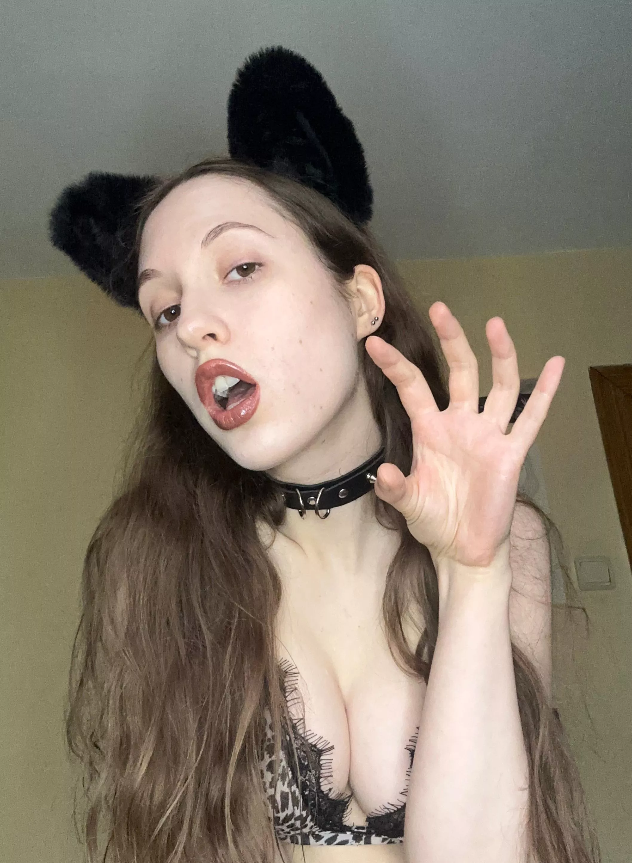 i'm not a good kitten posted by alicexec