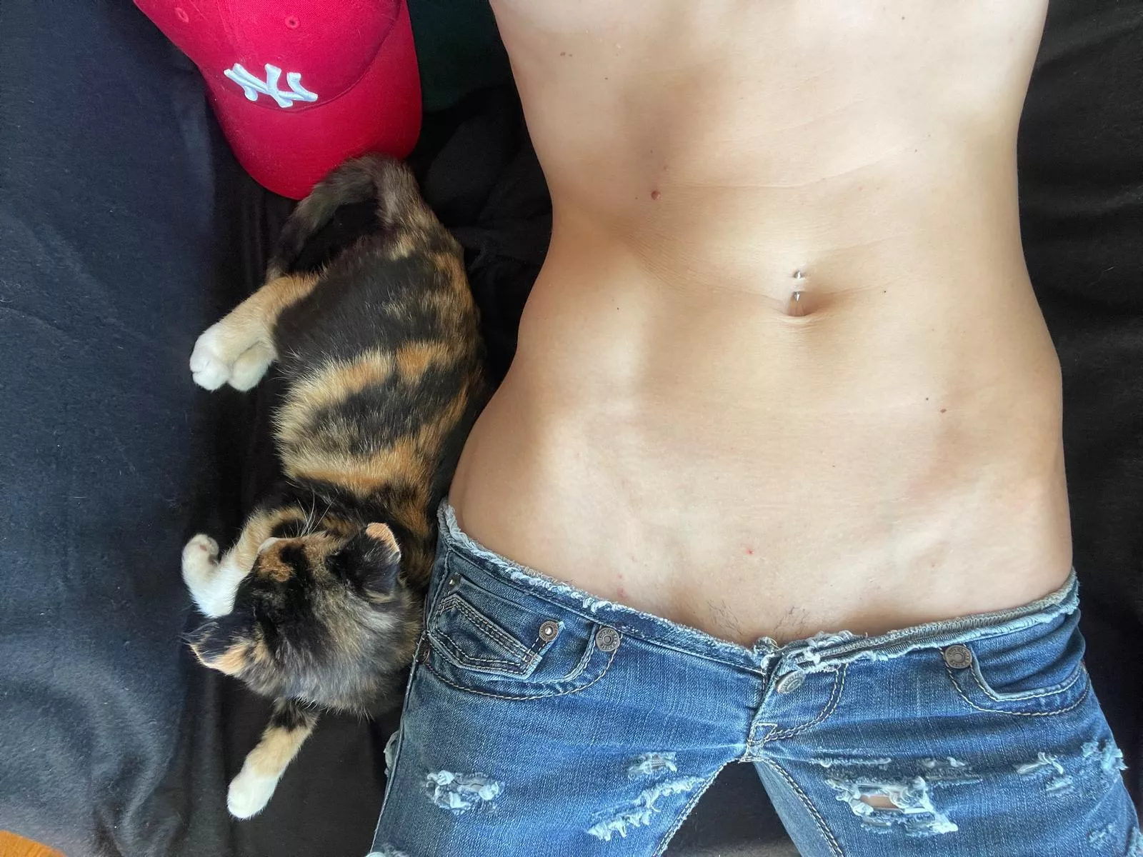 Kitty  posted by LuciDeArgento