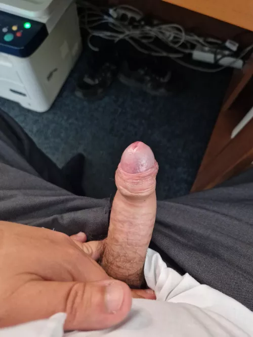Looking for guys who i can tell how would i suck them and they show me how they cum  by TiltottGyumolcs86
