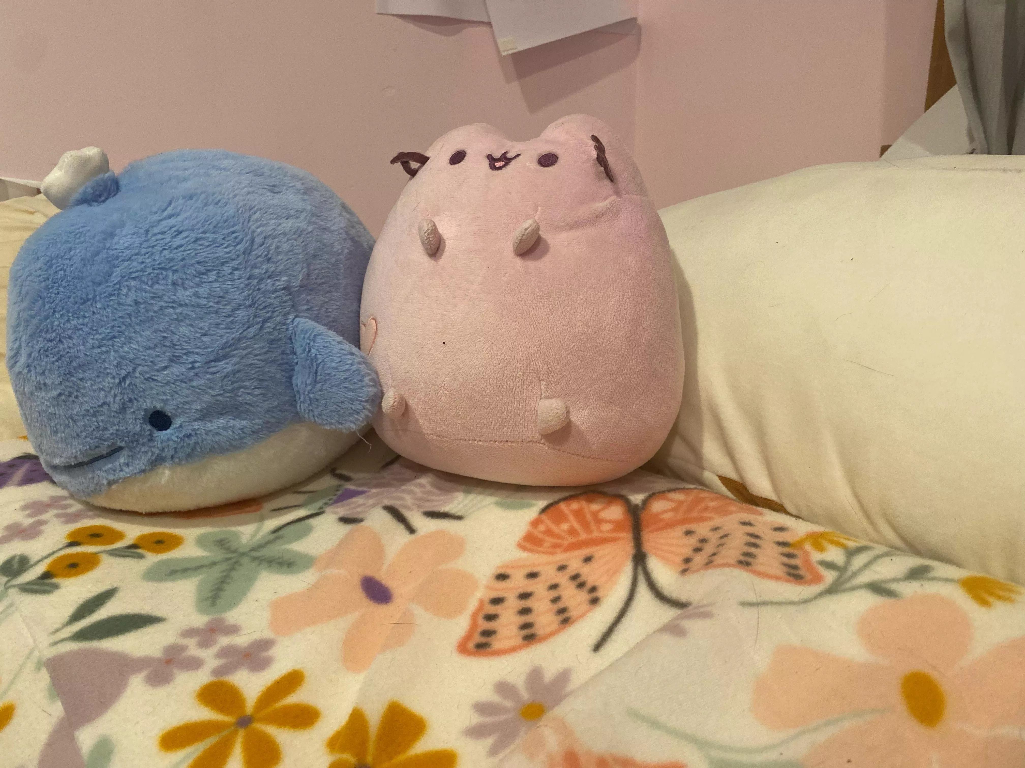 new plushies for ma birthday!! posted by BirdEqual5147