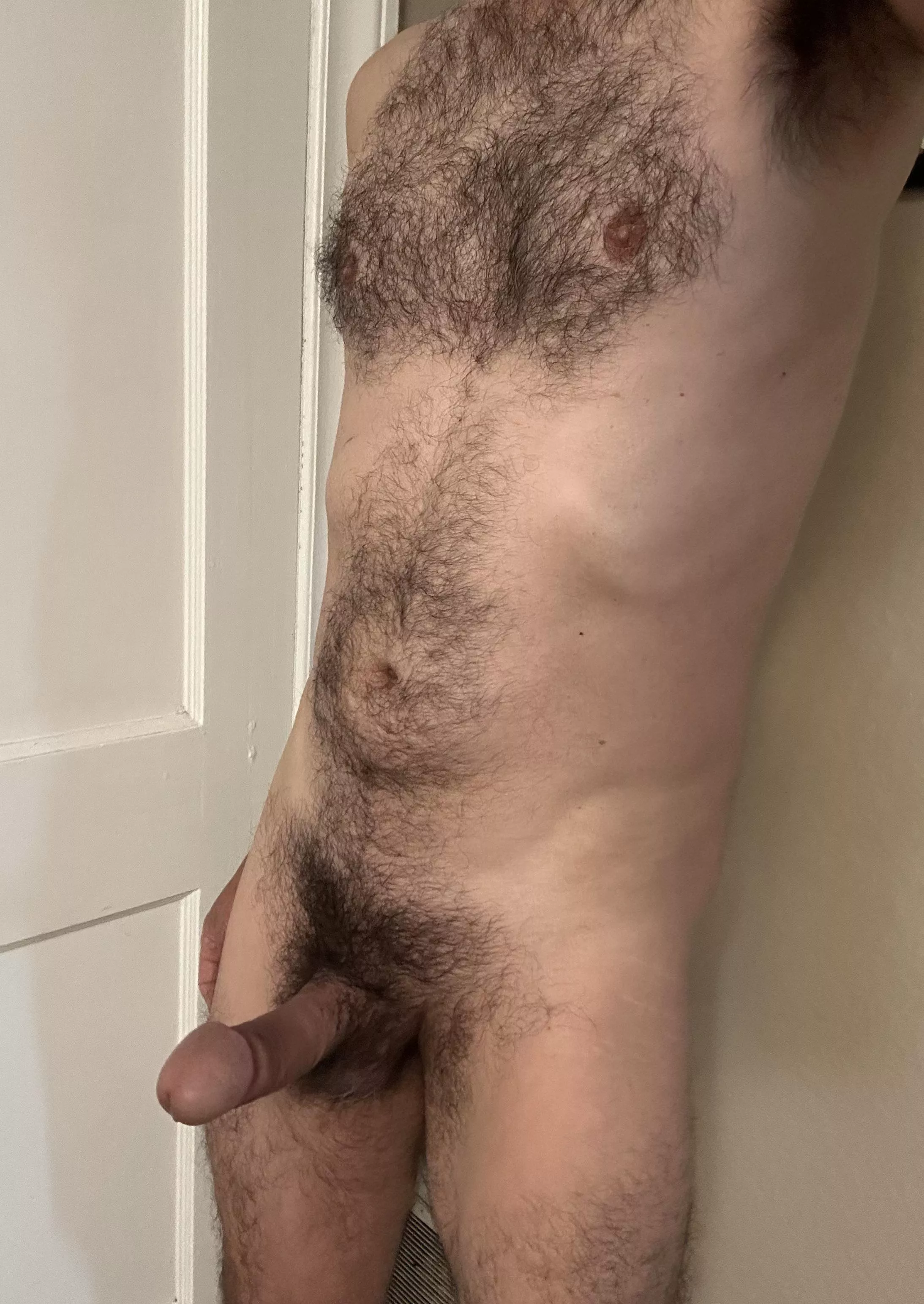 Saturday morning posted by fur-lover-40