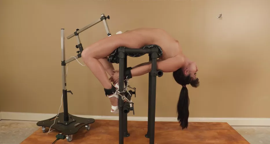 Strapped to a vibrator by rng-redditor