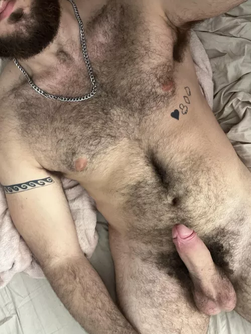 Wanna ride my hard hairy cock? by Poseidominant