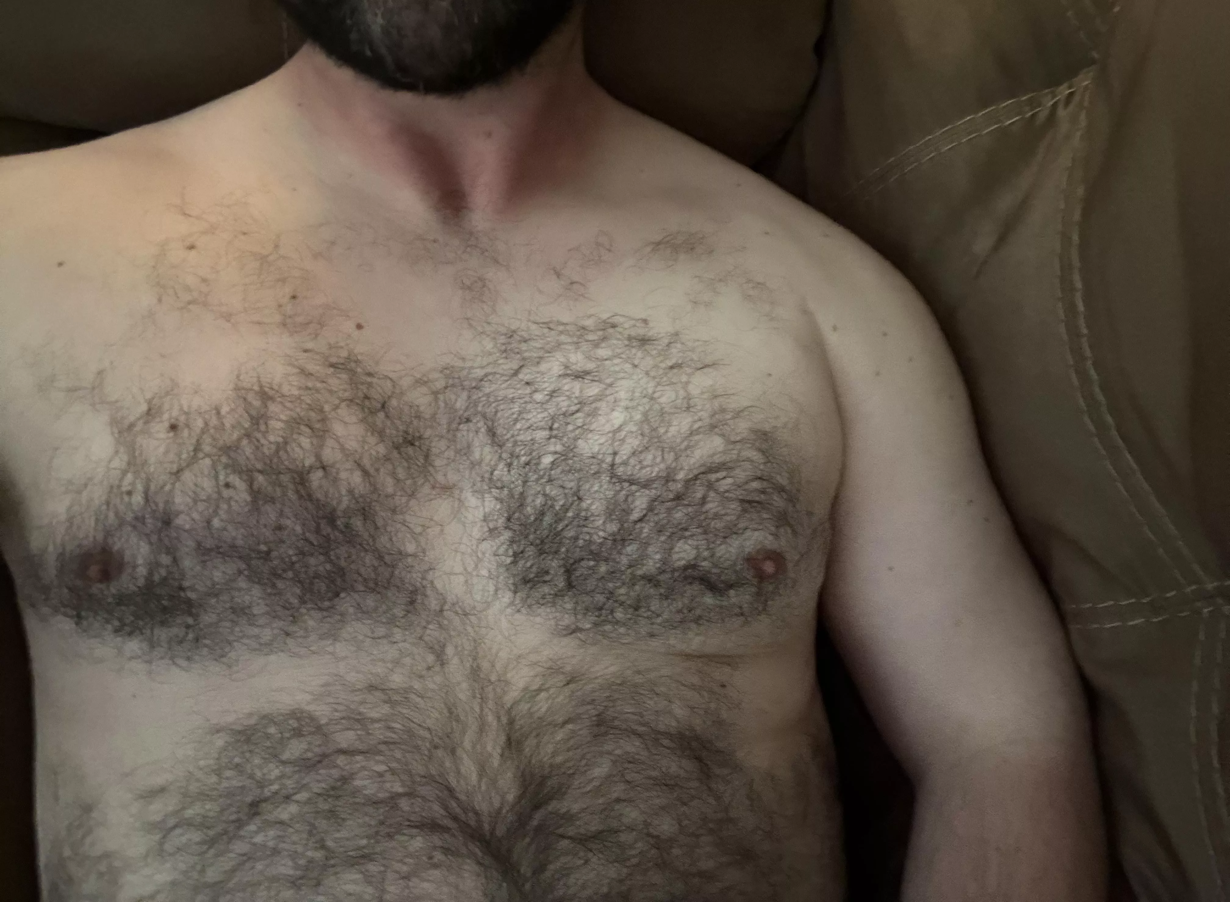 Who wants to be on top?  posted by mountainfur39