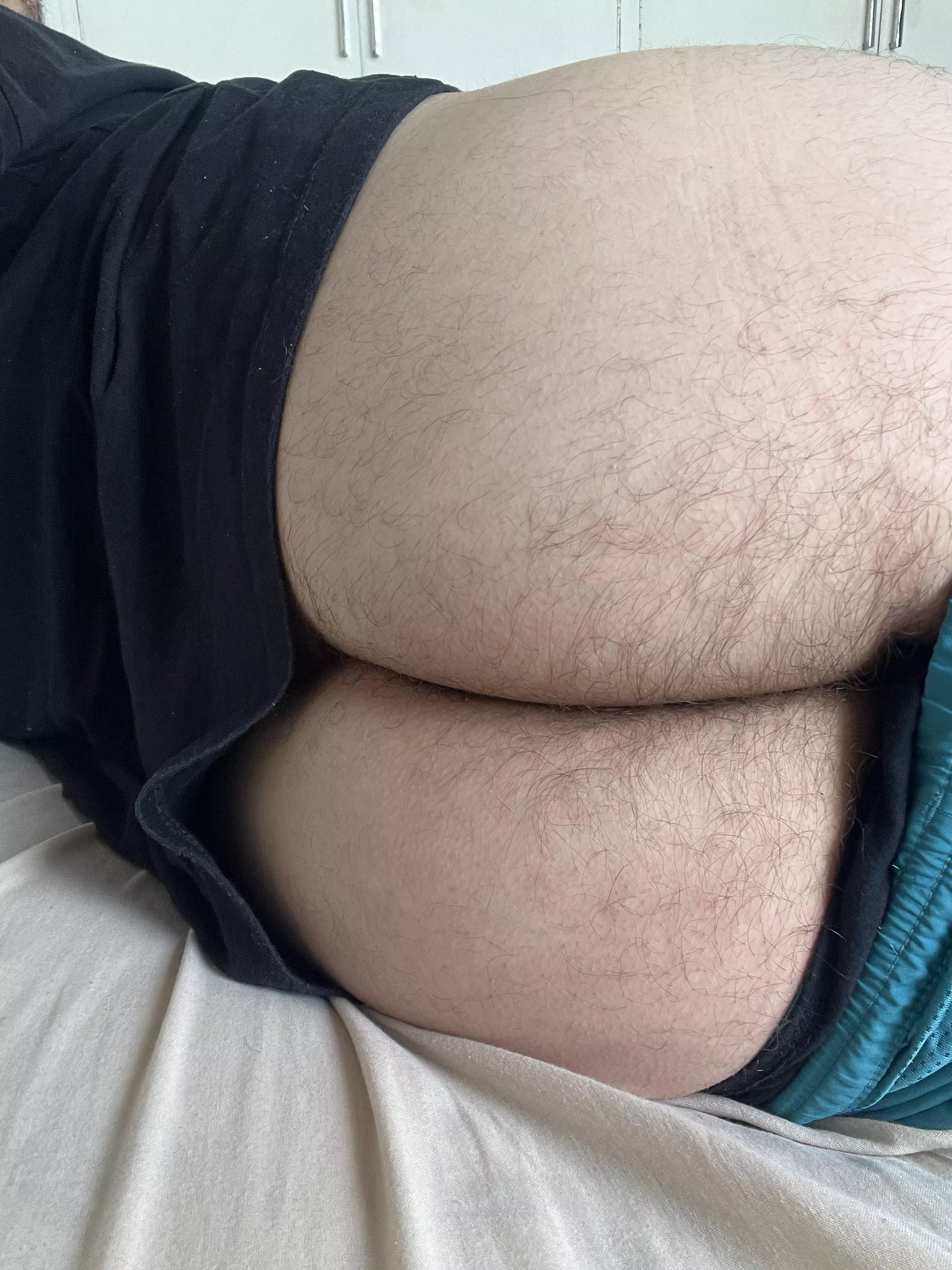 am I hairy enough? posted by EasternPomelo120