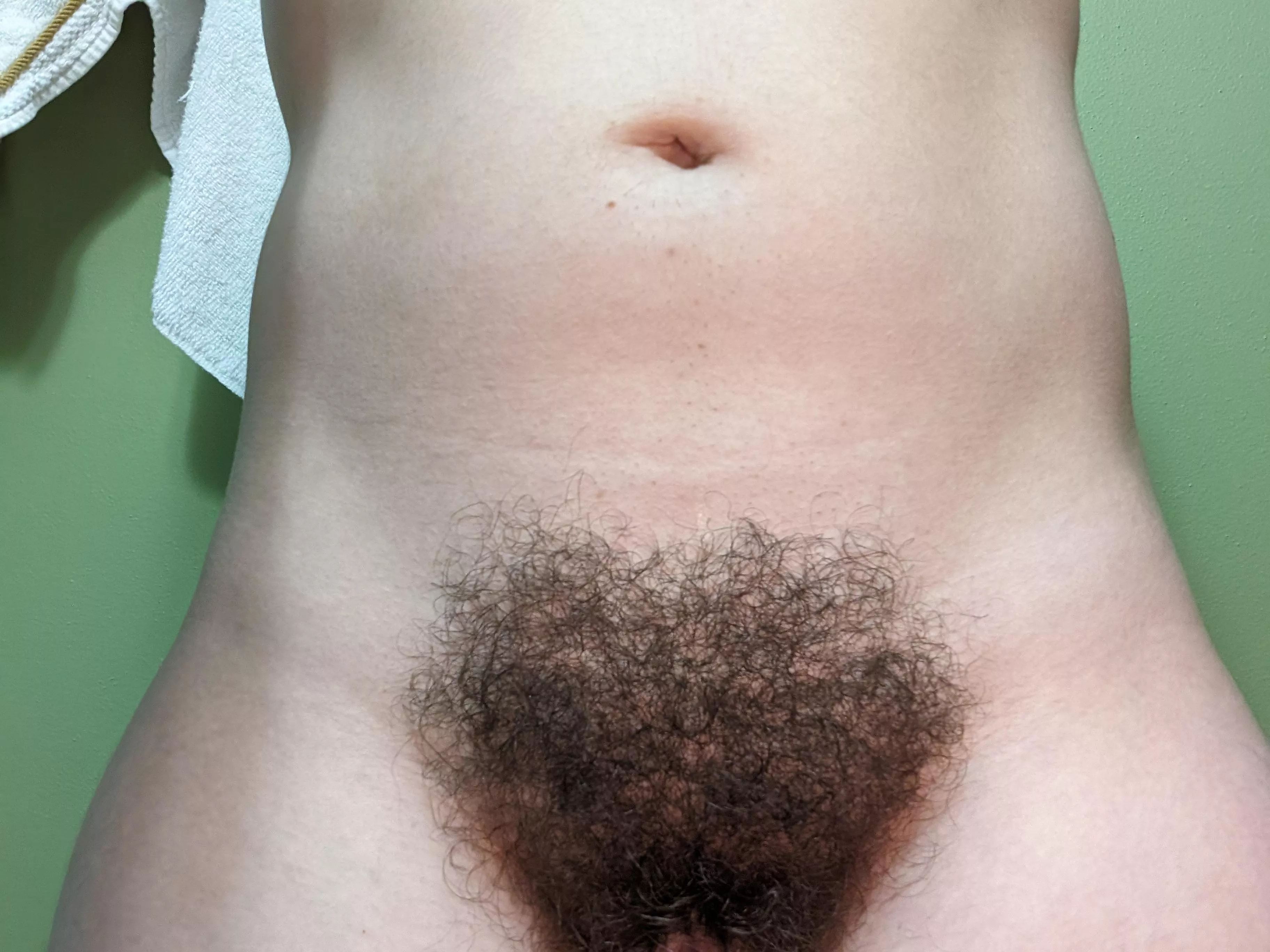 Freshly trimmed and cleaned, ready to show off for the summer!! ;) posted by aurathecat123