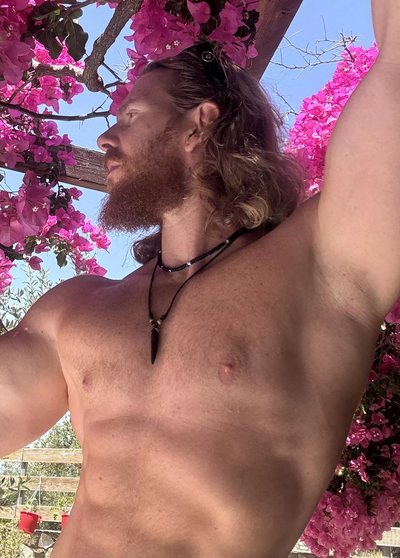 Inhale the freshness posted by Ok-Philosopher-9562