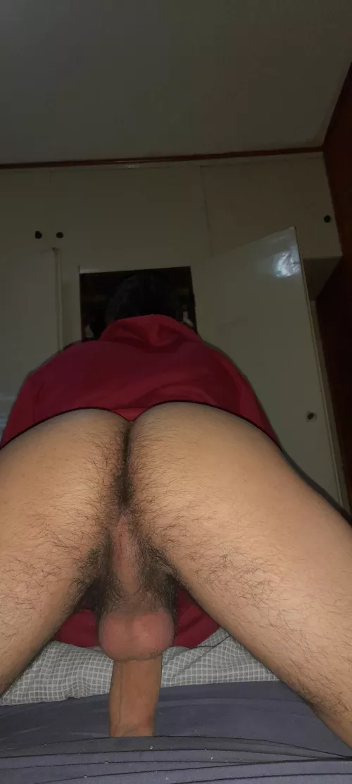 So some men really like hairy ass? by KoVore