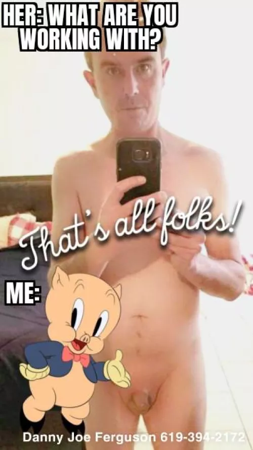 That's All Folks! by rottenmemez