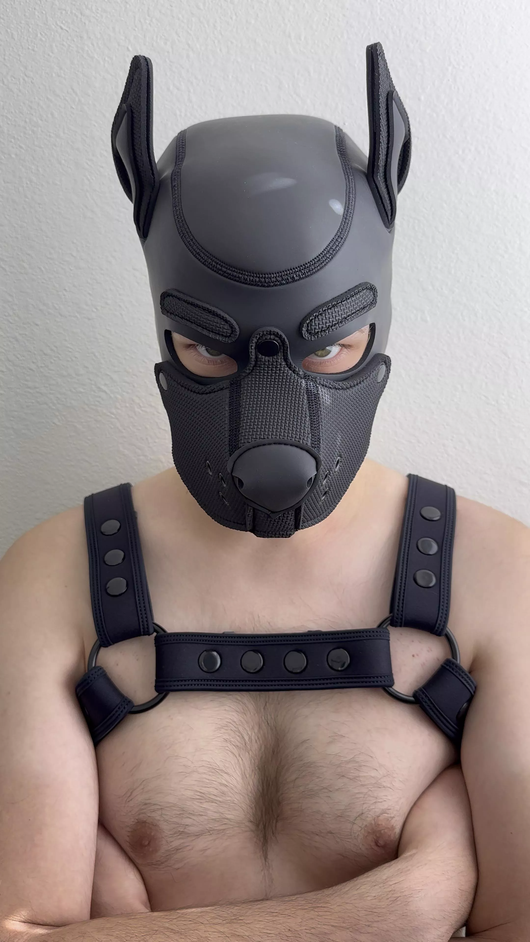 Bark if you’re a good boy 🐶 posted by pup_zorro