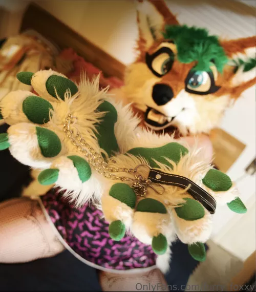 🐾 Do you dare to tame me? 🐾 by FurryFoxxyStream