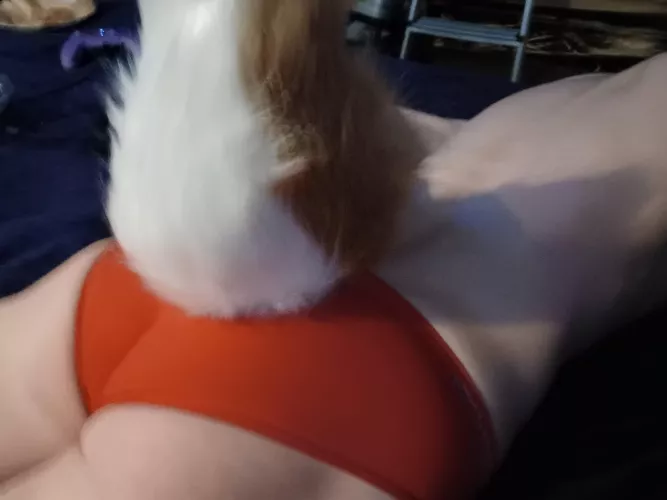 How does it look I'm a femboy sub by tommy5743