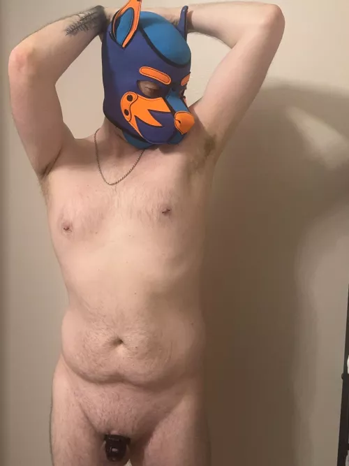 Just being a good boy by PupPreston